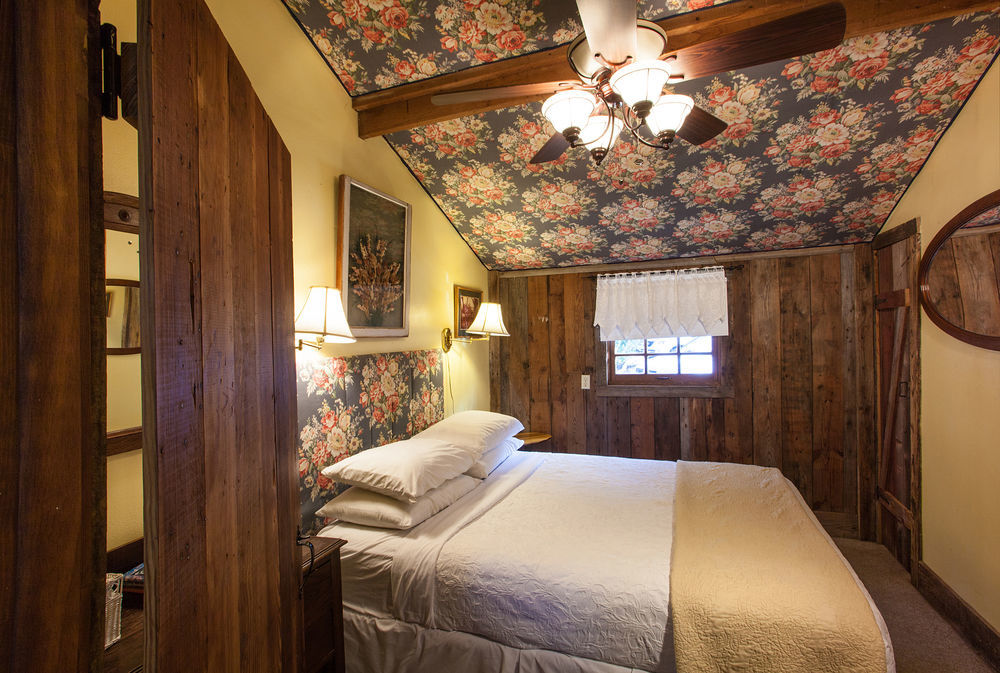 Gruene Mansion Inn New Braunfels Exterior foto
